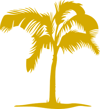 coconuttree-vector-palm-contours-isolated-white-illustration-set-266134