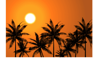 coconuttree-vector-the-black-shadow-of-the-grass-in-the-evening-the-setting-sun-that-742187