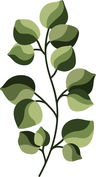 collectiongreenery-leaf-plant-forest-herbs-tropical-leaves-spring-flora-watercolor-style-582985