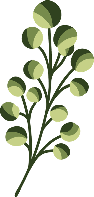 collectiongreenery-leaf-plant-forest-herbs-tropical-leaves-spring-flora-watercolor-style-382120