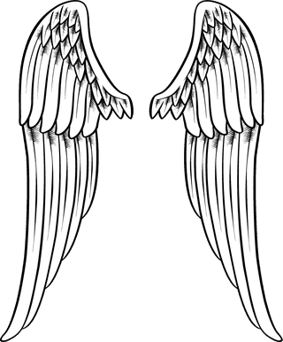 collectionof-angel-wings-icons-with-a-variety-of-unique-design-and-wearing-a-outline-design-style-720560