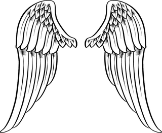 collectionof-angel-wings-icons-with-a-variety-of-unique-design-and-wearing-a-outline-design-style-803667