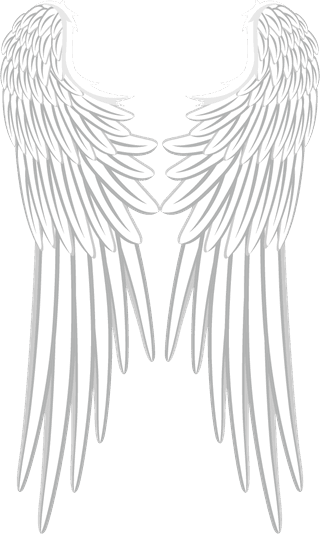 collectionof-angel-wings-icons-with-a-variety-of-unique-design-and-wearing-a-outline-design-style-828662