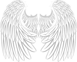 collectionof-angel-wings-icons-with-a-variety-of-unique-design-and-wearing-a-outline-design-style-841348