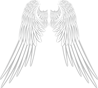 collectionof-angel-wings-icons-with-a-variety-of-unique-design-and-wearing-a-outline-design-style-994134