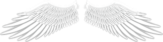 collectionof-angel-wings-icons-with-a-variety-of-unique-design-and-wearing-a-outline-design-style-75861