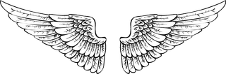 collectionof-angel-wings-icons-with-a-variety-of-unique-design-and-wearing-a-outline-design-style-91849
