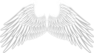 collectionof-angel-wings-icons-with-a-variety-of-unique-design-and-wearing-a-outline-design-style-149426
