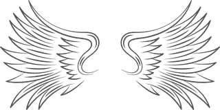 collectionof-angel-wings-icons-with-a-variety-of-unique-design-and-wearing-a-outline-design-style-418401