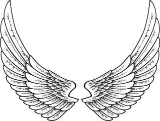 collectionof-angel-wings-icons-with-a-variety-of-unique-design-and-wearing-a-outline-design-style-264838