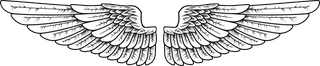collectionof-angel-wings-icons-with-a-variety-of-unique-design-and-wearing-a-outline-design-style-422257