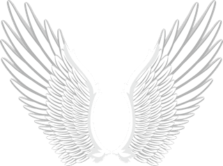 collectionof-angel-wings-icons-with-a-variety-of-unique-design-and-wearing-a-outline-design-style-497059