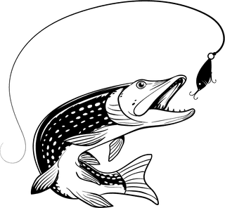 collectionof-bass-fishing-emblem-and-badge-416608