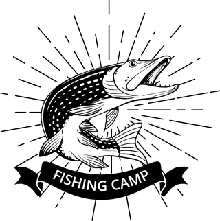collectionof-bass-fishing-emblem-and-badge-152862
