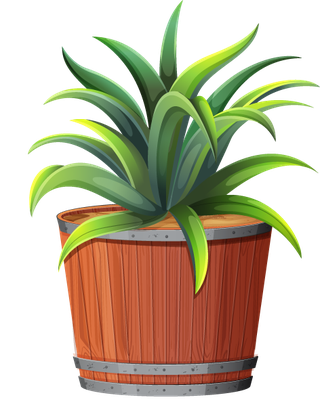 collectionpotted-plants-white-573442