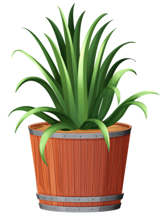 collectionpotted-plants-white-237557