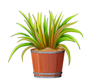 collectionpotted-plants-white-855184