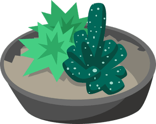collectiontropical-cactus-flowers-succulents-with-rocks-pots-isolated-white-background-house-plant-447645