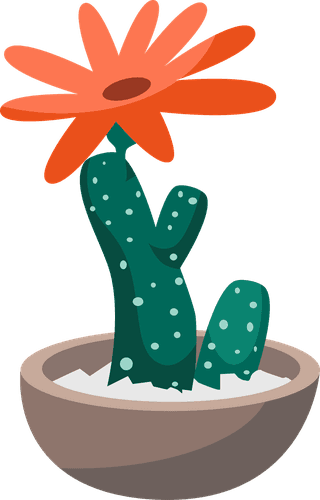 collectiontropical-cactus-flowers-succulents-with-rocks-pots-isolated-white-background-house-plant-398233