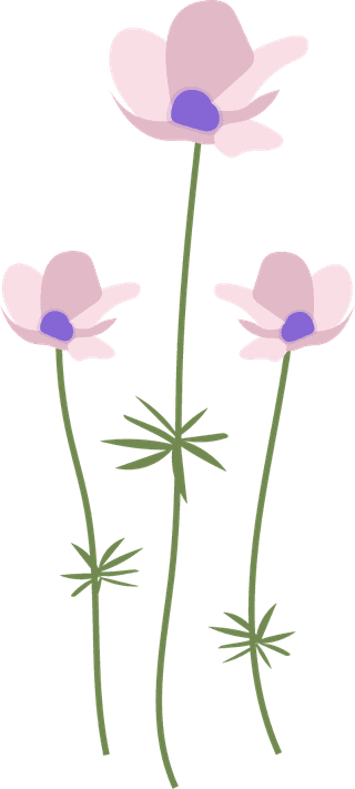 collectionwild-flowers-illustration-78379
