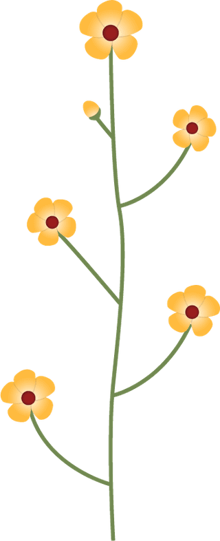collectionwild-flowers-illustration-981367