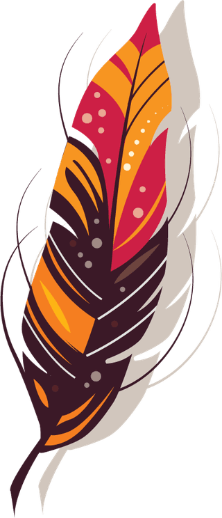 colorfulfeathers-vector-group-of-feather-feather-vector-217833