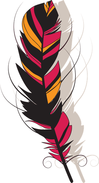 colorfulfeathers-vector-group-of-feather-feather-vector-845572