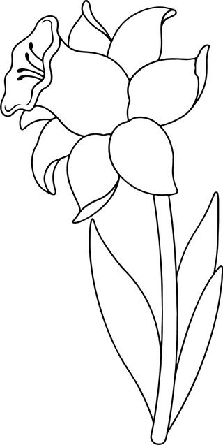 coloringbook-page-flower-pattern-683034