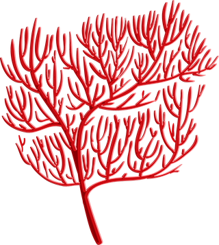 differencetype-of-colorful-coral-illustration-7453