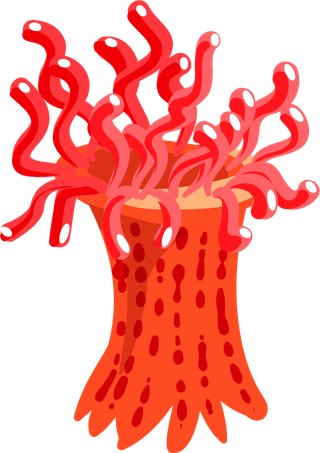 differencetype-of-colorful-coral-illustration-988702