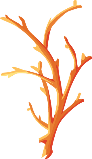 coralmarine-species-icons-shell-starfish-coral-sketch-2208