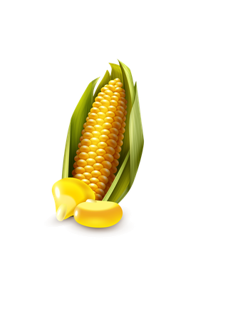 cornagricultural-cereals-set-26495