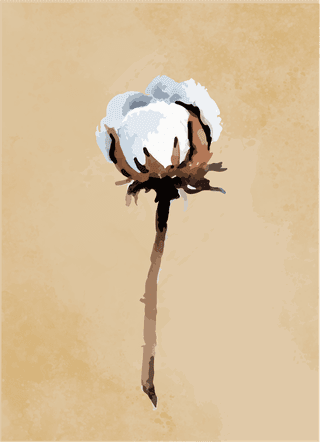 cottonflowers-classic-design-vintage-cover-vetor-water-color-27214