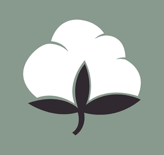 cottonflowers-isolation-flat-black-white-desig-682011