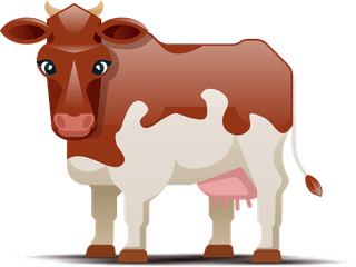 cowscows-different-colors-white-background-spotted-cow-illustration-540296