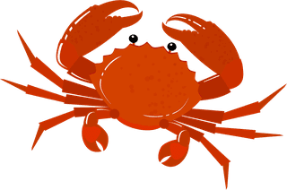 crabseafood-background-fish-oyster-shrimp-crab-shells-icons-950053