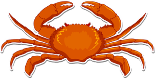 crabseafood-icons-collection-multicolored-paper-cut-decor-304767