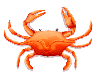 crabset-of-different-kinds-of-seafood-illustration-544694