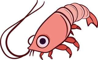 crawfishcartoon-shrimp-prawn-seafood-vector-41637