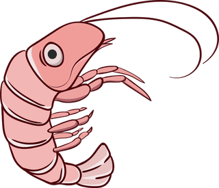 crawfishcartoon-shrimp-prawn-seafood-vector-712402