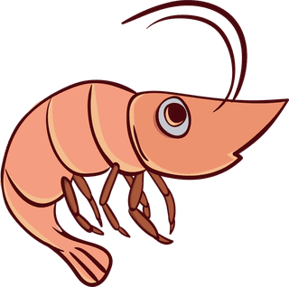 crawfishcartoon-shrimp-prawn-seafood-vector-723557