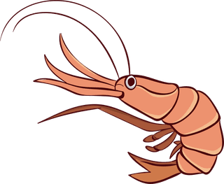 crawfishcartoon-shrimp-prawn-seafood-vector-501634