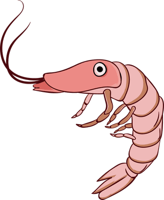 crawfishcartoon-shrimp-prawn-seafood-vector-486366