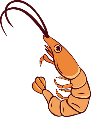 crawfishcartoon-shrimp-prawn-seafood-vector-673259