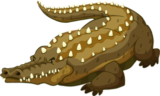 crocodileset-wild-animals-227810