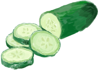 cucumberhand-drawn-food-ingredients-watercolor-style-716204