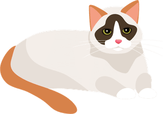 cutecartoon-kitties-cats-with-different-colored-fur-markings-standing-sitting-walking-vector-911626