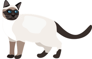 cutecartoon-kitties-cats-with-different-colored-fur-markings-standing-sitting-walking-vector-169892