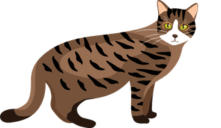 cutecartoon-kitties-cats-with-different-colored-fur-markings-standing-sitting-walking-vector-851131