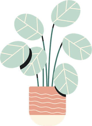 decoratedhouseplants-icons-colored-flat-vintage-sketch-325208